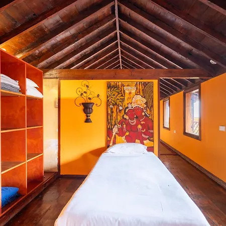 Live Orotava Antigua Attic National Heritage