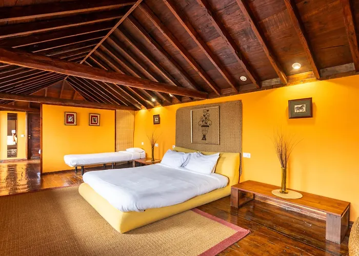 Live Attic National Heritage Apartament La Orotava